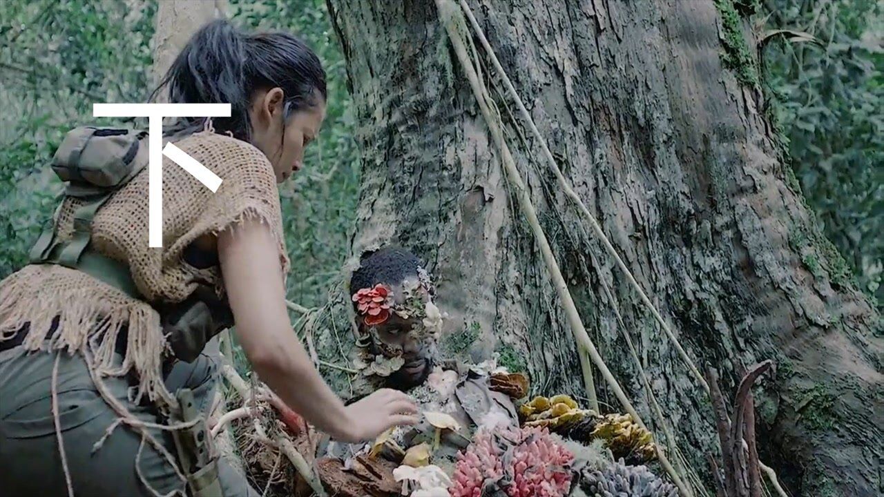 女人被感染,身上长满蘑菇,竟然一切都是救他的人所为!