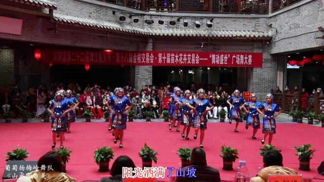 桂林萄萄杨梅岭广场舞《山水家乡美》参赛阳朔漓江渔火节”舞动盛世“