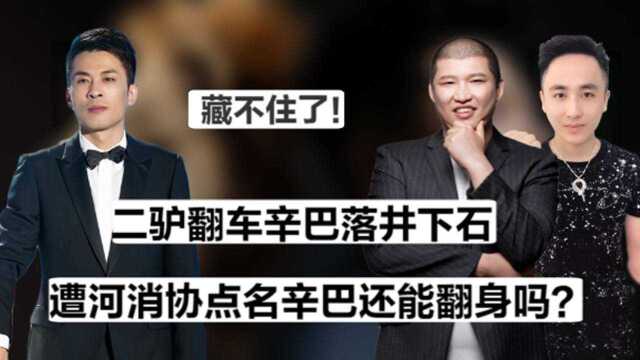 辛巴再次被点名!3年打造快手第一家族,直播亏两千万竟状告平台