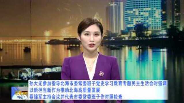 孙大光参加指导北海市委常委班子党史学习教育专题民主生活会时强调:以新担当新作为推动北海高质量发展