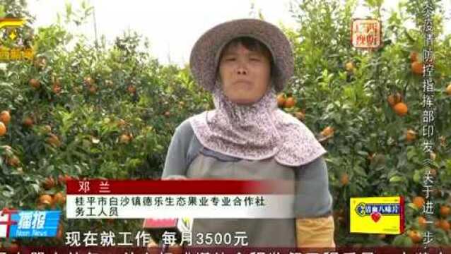 桂平白沙镇 上广西新闻了!