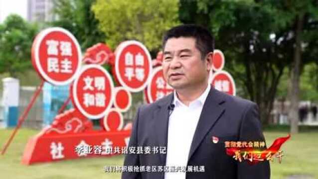 贯彻党代会精神,我们这么干丨建设新时代福建“南大门”——专访诏安县委书记李亚容