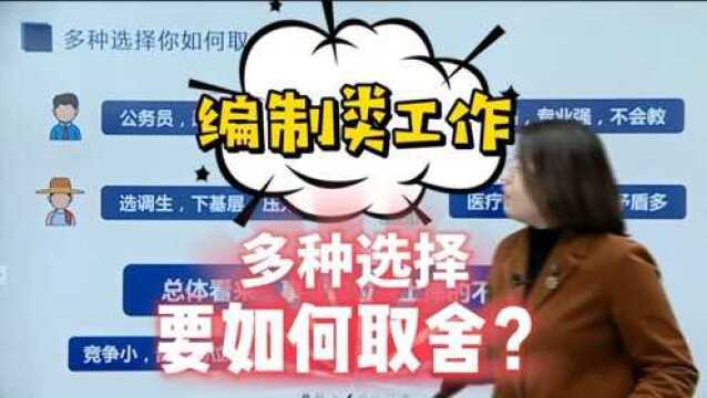 想要一个稳定的编制类工作?多种选择要如何取舍?