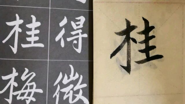 毛笔字天天练习桂字