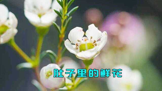 大姐肚子里开了一朵鲜花,还长出了花粉,医生都不知道怎么回事