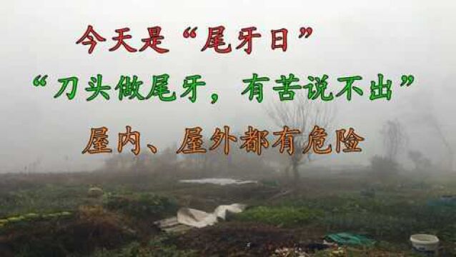 今天是尾牙日,老人说:今日“刀头做尾牙,有苦说不出”,啥意思