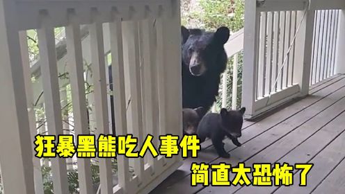 狂暴黑熊吃人事件，凶残的黑熊发疯起来，简直太可怕了