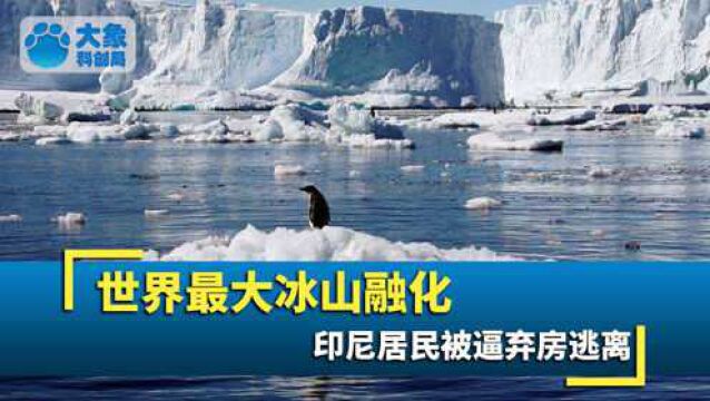 一万个西湖!世界最大冰山已开始融化,印尼居民被逼弃房逃离