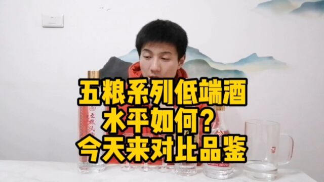 五粮液系列低端酒水平如何?今天来对比品鉴