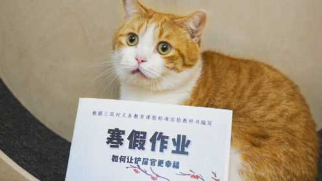 小猫咪还有寒假作业?!2021年终总结&读评论特辑