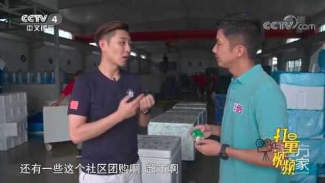 为确保乳山牡蛎的品质与安全,每件产品都设了防伪标签