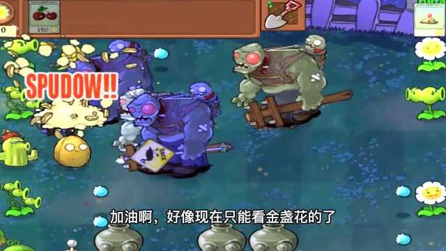 PVZ连锁反应:两种连锁都挺有趣,杨桃大帝