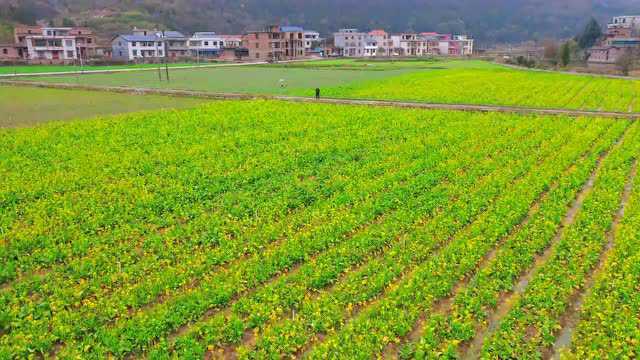 永州新闻纵览(2月14日)