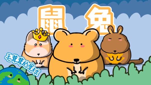 鼠兔到底是老鼠还是兔子？_高清