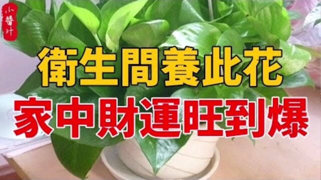 居家风水:卫生间里养此花,家中财运旺到爆!