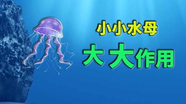 干翻日本渔船,攻陷日本核电站,我国的水母竟然这么勇!