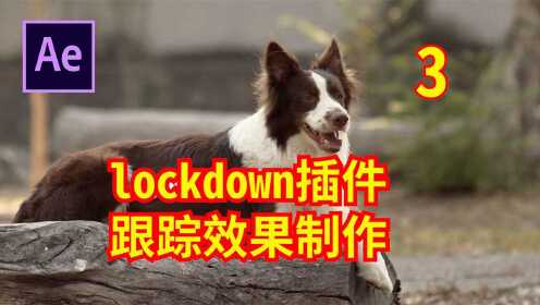 lockdown插件跟踪效果制作3