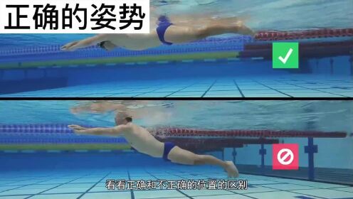 37_自由泳基础教学-在水中的正确姿势_高清1080P在线观看平台_腾讯视频