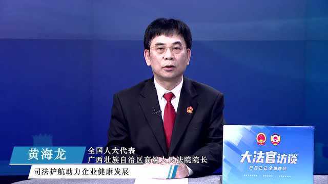 广西壮族自治区高级人民法院院长黄海龙:优化营商环境不止步 保护绿水青山有作为