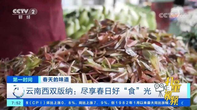 云南西双版纳:大量野菜上市,尽享春日好“食”光