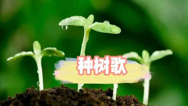 佳华领域幼儿园——植树节《种树歌》