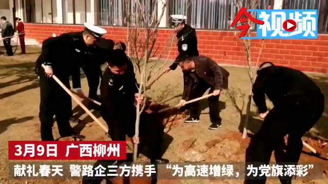 献礼春天!柳州警路企携手为高速公路增绿