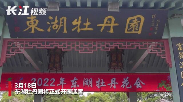 东湖牡丹园将于18日正式开园