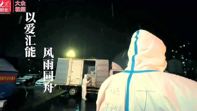 |傲霜斗雪,共护春“莱”