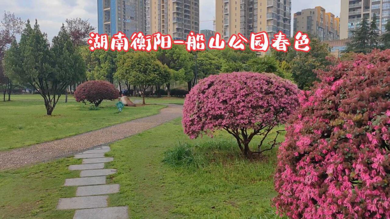 隨手拍家鄉:湖南衡陽-船山公園春色,爽心悅目