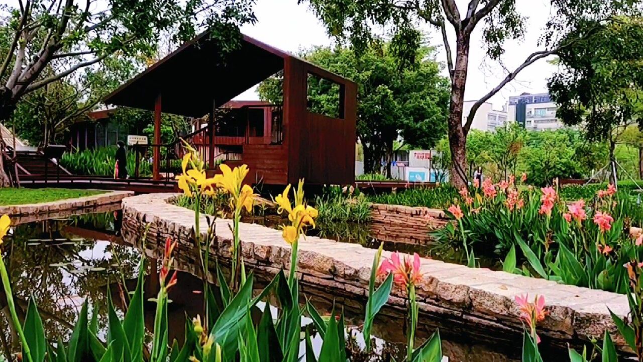 西丽九祥岭湿地公园.