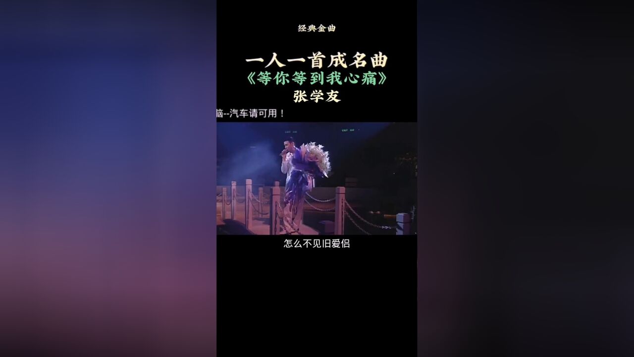 等你等到我心痛--一人一首成名曲張學友