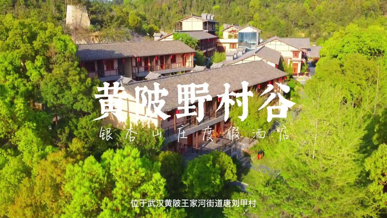 黄陂野村谷郊野公园,一年四季皆是风景,养生度假的不错之选