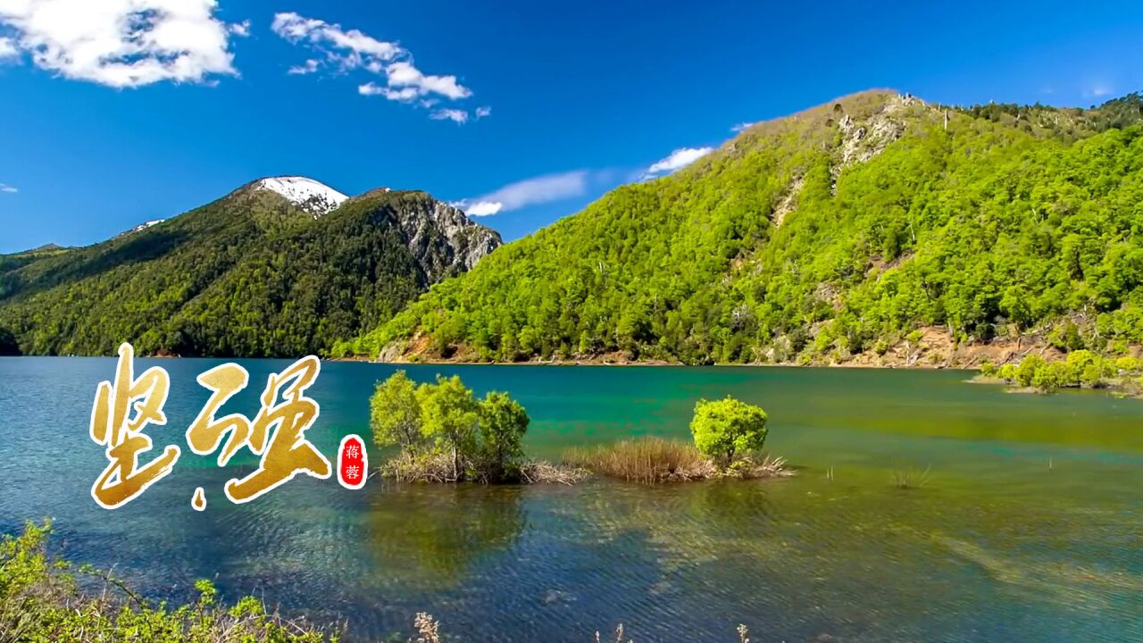 蒋蓉一曲《坚强》,励志感人,听得有些激动!