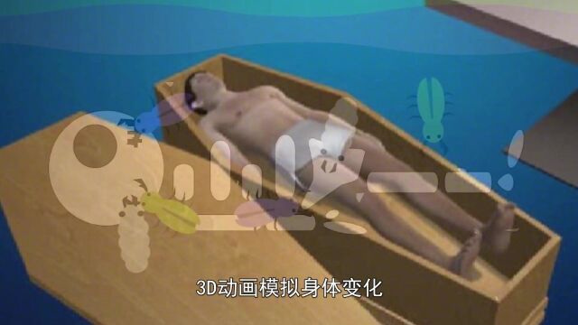 人死后埋进土里,3D动画模拟身体变化,看完之后莫名悲酸