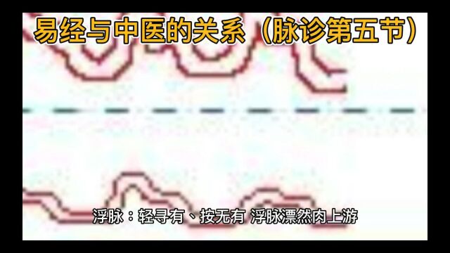 易经与中医学(脉诊第五节)