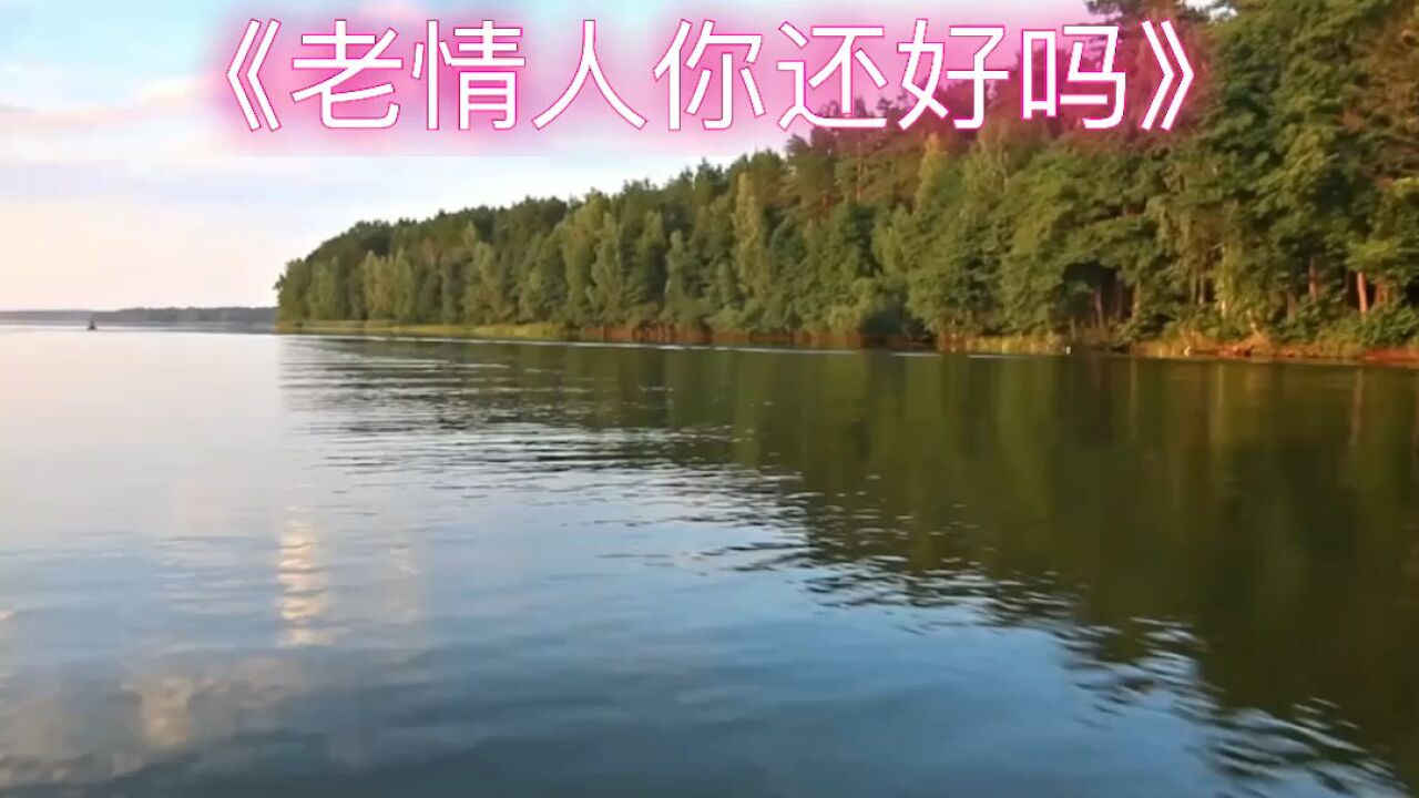 伤感老歌曲大全(伤感老歌曲大全100首)