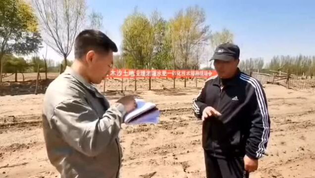 视频丨巴彦毛都苏木举办沙土地浅埋滴灌水肥一体化技术播种现场会