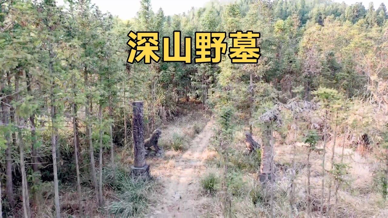 探秘江西深山荒废的野墓,石像乱丢被盗严重,是不是王爷墓?