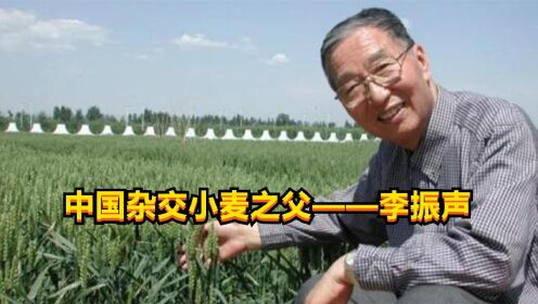 中国杂交小麦之父——李振声，成就比肩袁隆平，用小麦养活上亿人