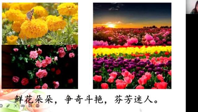 13.花钟(教学片段再构)