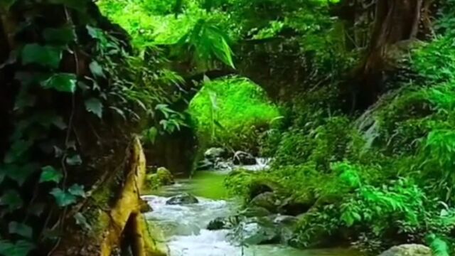 小桥流水风景 004