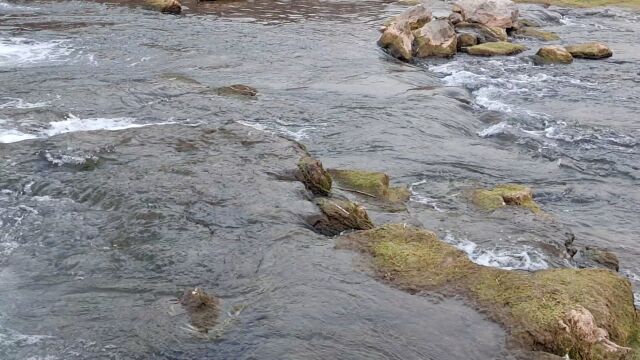 水,高山流水,溪水,风景风光,故乡的山水