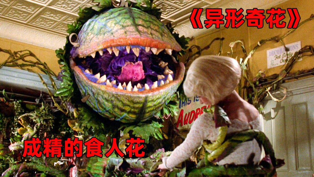 《异形奇花》这只食人花成精了,居然吃人第三集