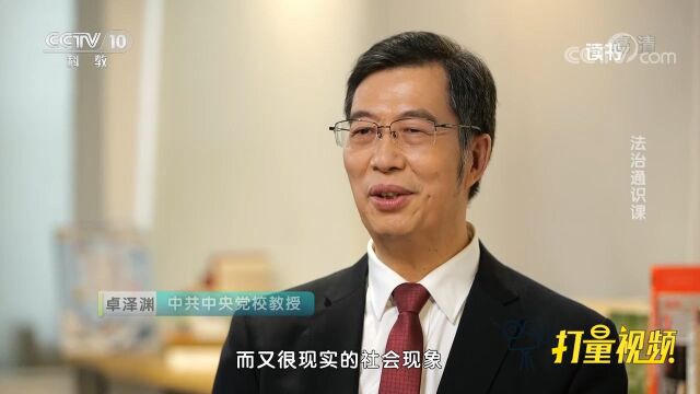 专家解读“法律”和“法治”,这两个词之间有什么关联?