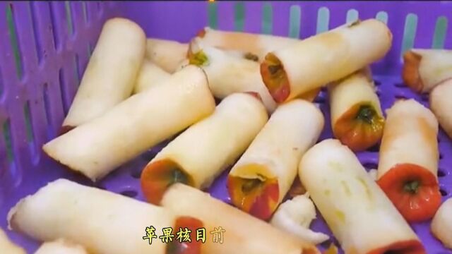 卷心菜的由生历程