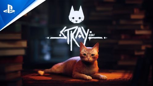 猫猫游戏《迷失 Stray》将于7月19日发售