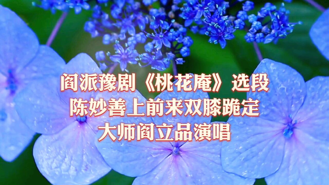 豫剧大师阎立品演唱的《桃花庵》非常好听