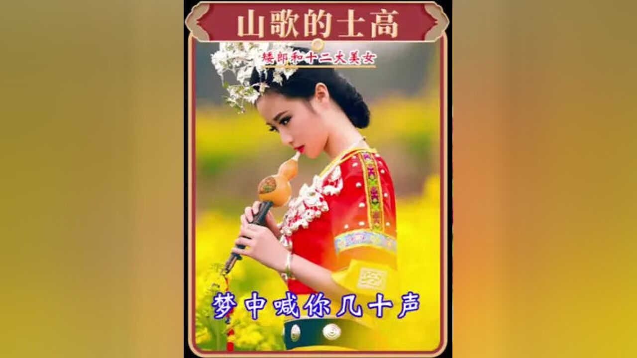 云南山歌的士高 #矮郎和十二大美女