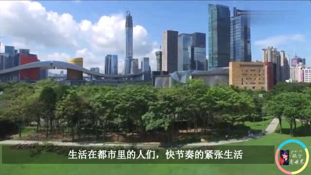 世界上第一架“透明”飞机,360度的全景,可视范围更广!