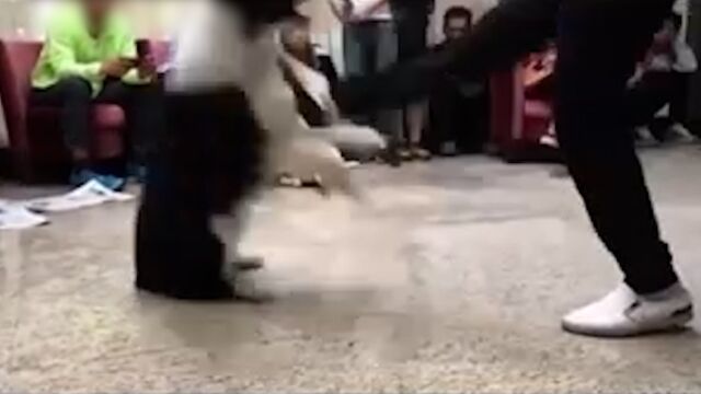 警方回应网传训犬师虐狗视频:不会只听一面之词,虐宠肯定不对